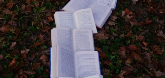 Les meilleurs livres sur la loi de l’attraction